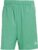 ADIDAS SPORTSWEAR Tiro Korte Broek – Heren – Court Green / Blue Dawn – L