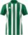 Adidas Striped 21 Shirt Korte Mouw Heren – Groen / Wit | Maat: S