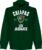 Chiapas Established Hoodie – Groen – S