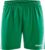 Craft Pro Control Short Dames – Groen | Maat: L