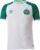 Globalsoccershop – Chapecoense Shirt – Voetbalshirt Brazilië – Voetbalshirt Chapecoense – Uitshirt 2022 – Maat L – Braziliaans Voetbalshirt – Unieke Voetbalshirts – Voetbal