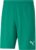 Puma Teamrise Short Kinderen – Groen | Maat: 152