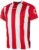 Stanno Brighton Shirt Korte Mouw – Maat S