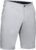 UA EU Performance Taper Short-Halo Gray / Size 30