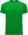 Varengroen unisex sportshirt korte mouwen Bahrain merk Roly maat XL