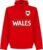 Wales Reliëf Team Hoodie – Rood – Kinderen – 116