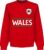 Wales Reliëf Team Sweater – Rood – Kinderen – 104