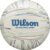 Wilson Shoreline Eco Volleyball