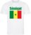 WK – Senegal – Sénégal – T-shirt Wit – Voetbalshirt – Maat: 134/140 (M) – 9 – 10 jaar – Landen shirts